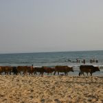 Phan Thiet